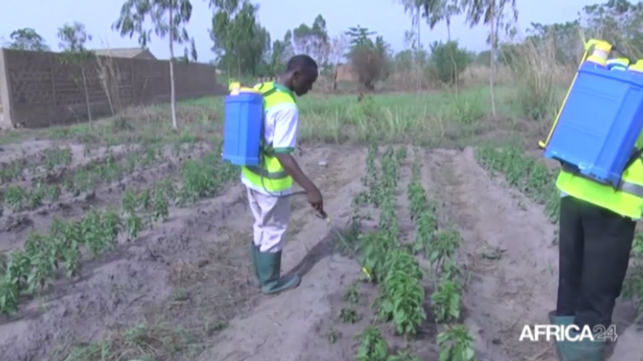 Résilience climatique