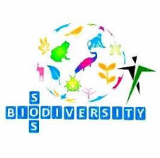 Logo@ SOS Biodiversity 