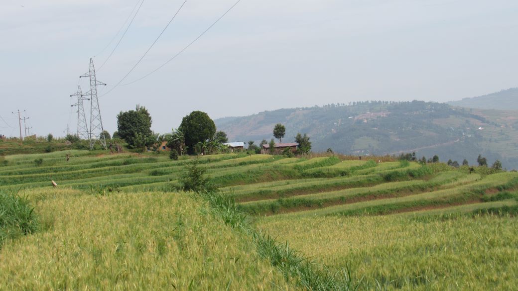 Inovation et Biotechnologie