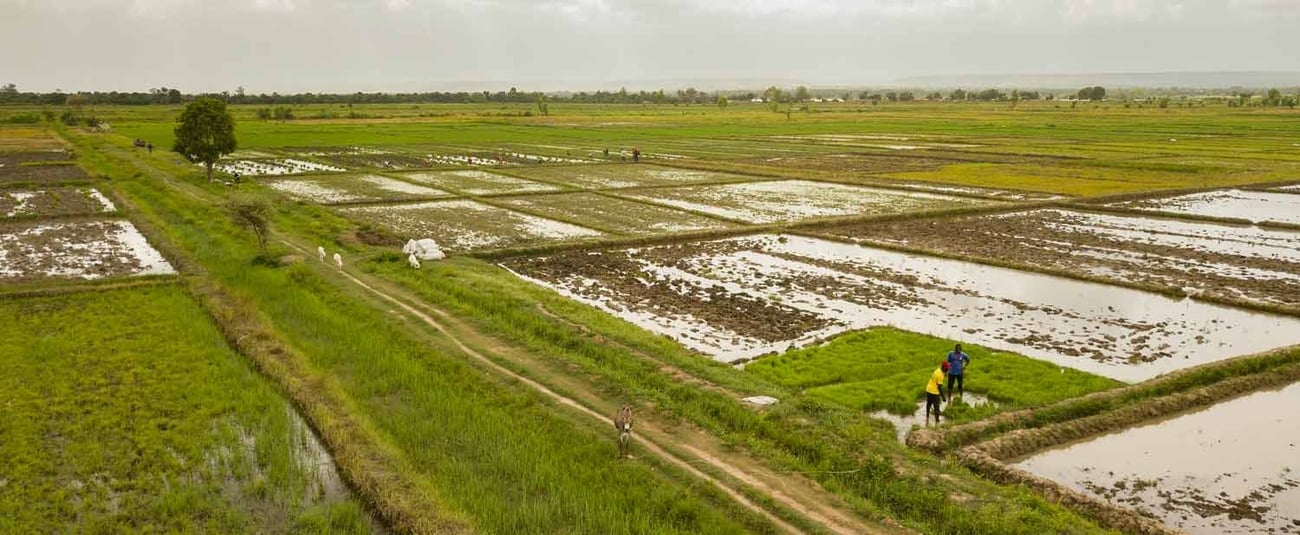 Agriculture/Environnement